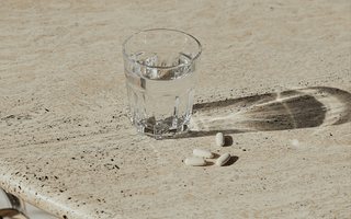 Prä- und Probiotika im Darm – Zusammenspiel und Wirkungsweisen - DALUMA