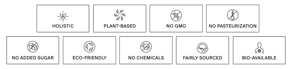 Neun Icons mit den Bezeichnungen "ganzheitlich", "pflanzlich", "ohne GVO" und mehr sind mit einfachen Linien versehen. Entdecken Sie Dalumas Visionäre 360° Self-Care und das Engagement für Reinheit und nachhaltiges Wohlbefinden.