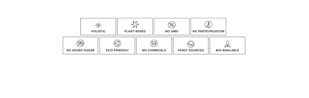 Ein Raster aus acht Symbolen mit den Bezeichnungen: ganzheitlich, pflanzlich, ohne GVO, ohne Pasteurisierung, ohne Zuckerzusatz, umweltfreundlich, ohne Chemikalien, aus fairen Quellen und bioverfügbar. Jedes Symbol steht visuell für das jeweilige Etikett.