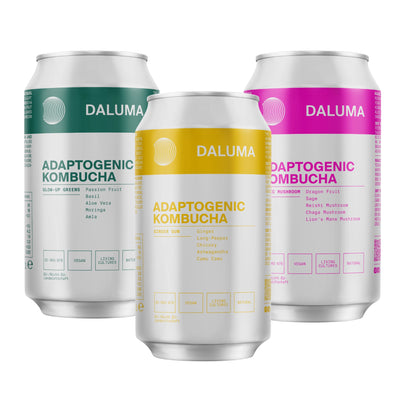 Drei Dosen DALUMA's RAW KOMBUCHA DISCOVERY SET in grün, gelb und rosa, jede mit ihrem einzigartigen Geschmack, ihren Zutaten und probiotischen Kulturen für die Darmgesundheit, mit einem klaren, minimalistischen Design und farbigen Akzenten.