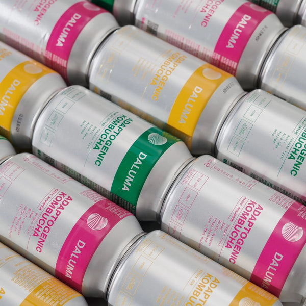 Eine Nahaufnahme von mehreren Reihen silberner Kombucha-Dosen der Marke Daluma mit Etiketten in Grün, Gelb und Rosa, die diagonal angeordnet sind. Auf den Etiketten steht "Adaptogenic Kombucha" in verschiedenen Geschmacksrichtungen.
