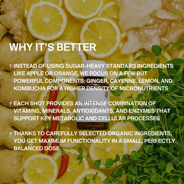 Eine Kulisse aus geschnittenen Zitronen, Ingwerwurzeln und Blattgemüse hebt das DALUMA BURNING MAN INGWERSHOT 24 PACK hervor, wobei der weiße Text die biozertifizierten Inhaltsstoffe für eine höhere Mikronährstoffdichte und ausgewogene Wirkung hervorhebt.