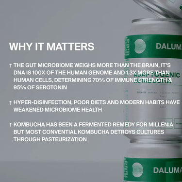 Dosen von DALUMA GLOW UP GREENS MARACUJA KOMBUCHA 24 PACK stehen vor einem grauen Hintergrund. Der Text hebt die Darmgesundheit hervor und zeigt, wie die probiotischen Kulturen in Kombucha Ihr Darmmikrobiom trotz moderner Gewohnheiten und Pasteurisierung unterstützen.